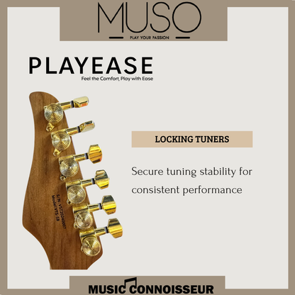 PX Virtuoso S-Style Electric Guitar (Sunburst)