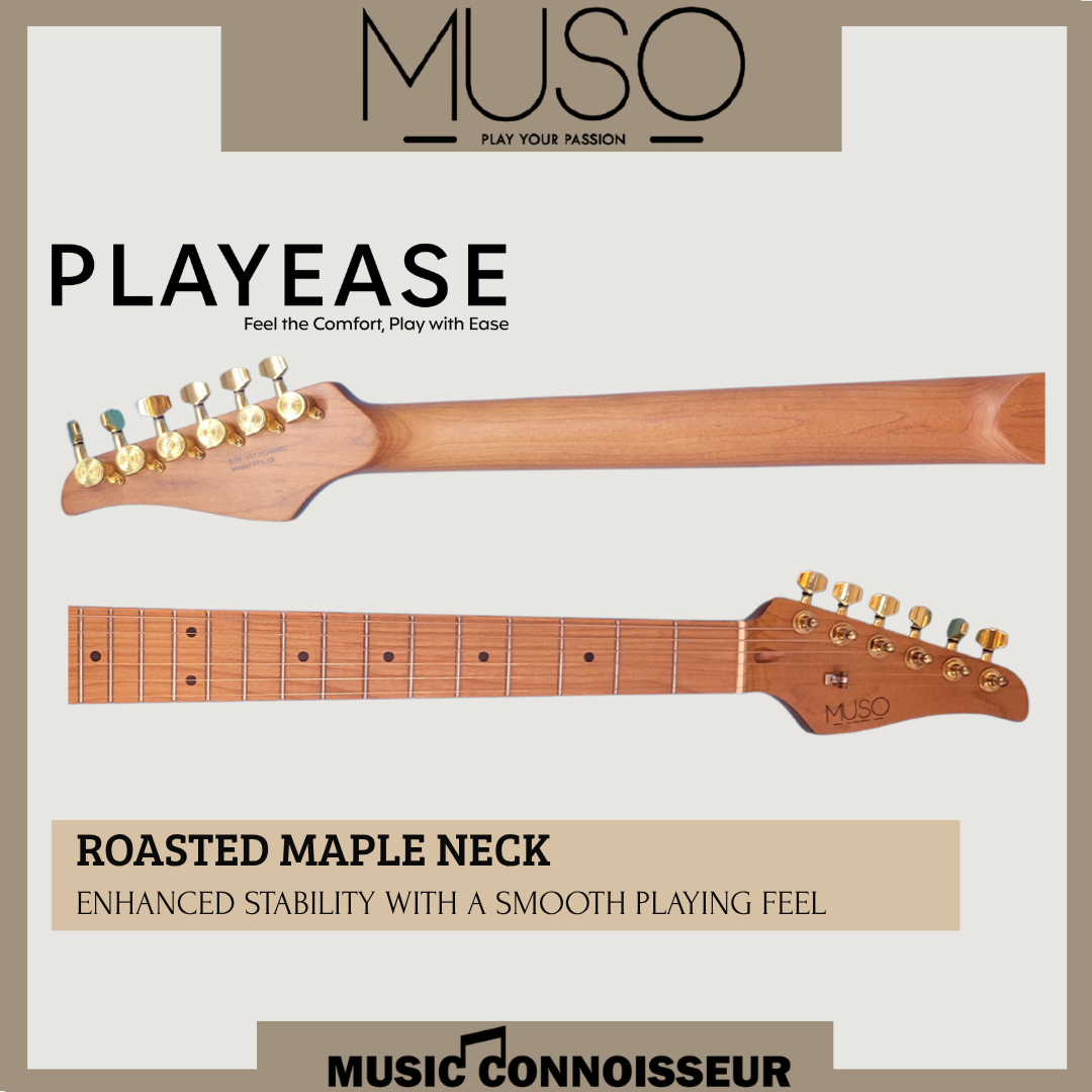 PX Virtuoso S-Style Electric Guitar (Sunburst)
